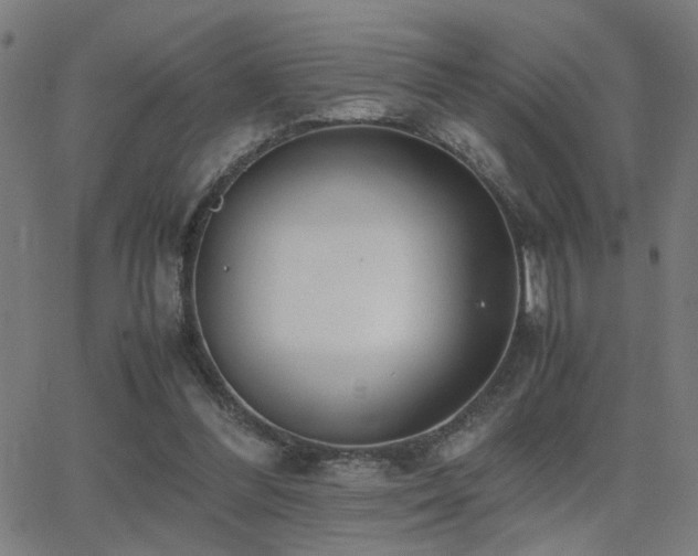 X0000062850300200601131357