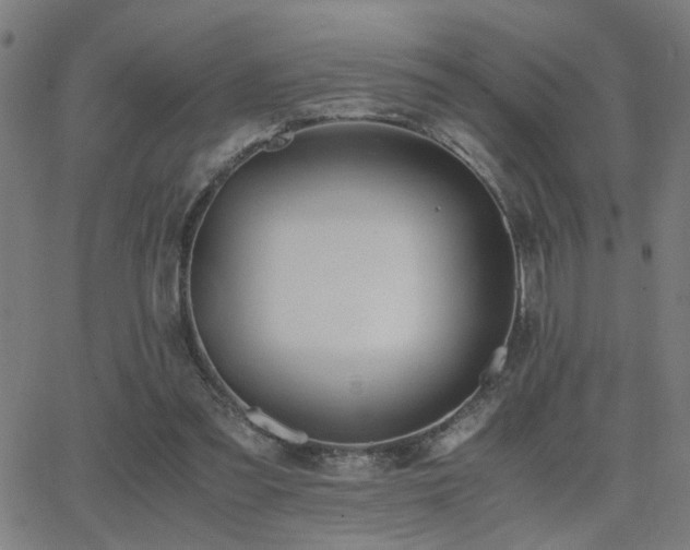 X0000062850301200601131357