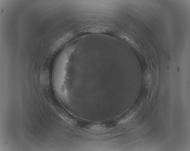 X0000062850303200601131357