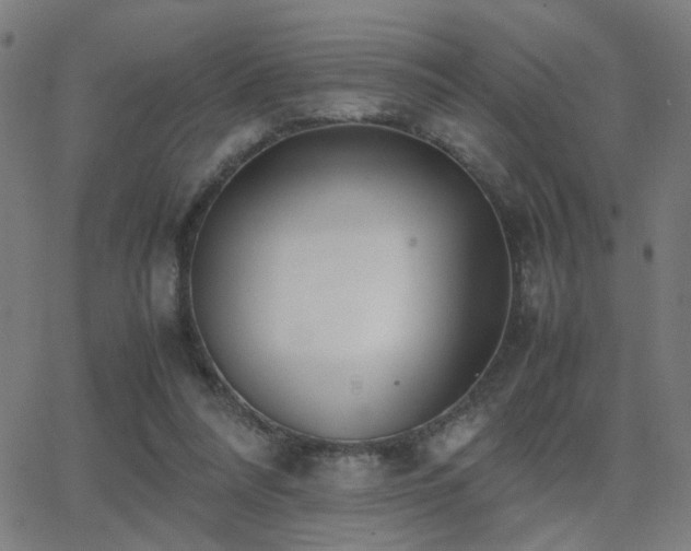 X0000062850304200601131357