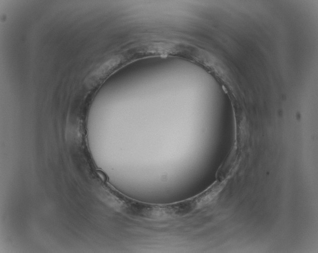 X0000062850305200601131357