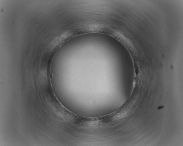 X0000062850306200601131357