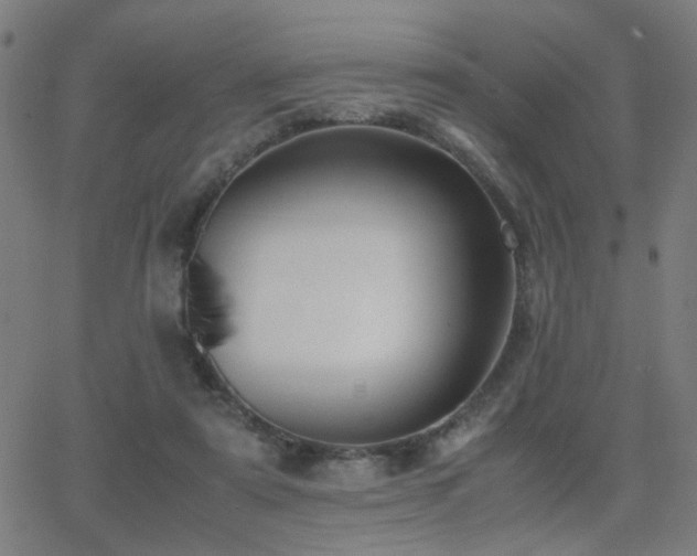 X0000062850307200601131356