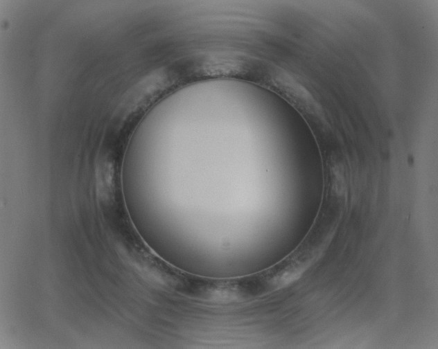 X0000062850308200601131356