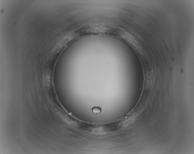 X0000062850309200601131356