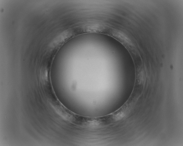 X0000062850310200601131356