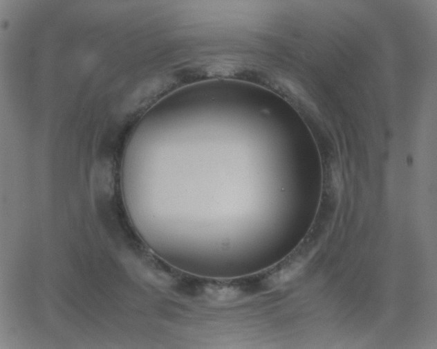 X0000062850311200601131356