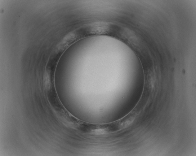 X0000062850312200601131356