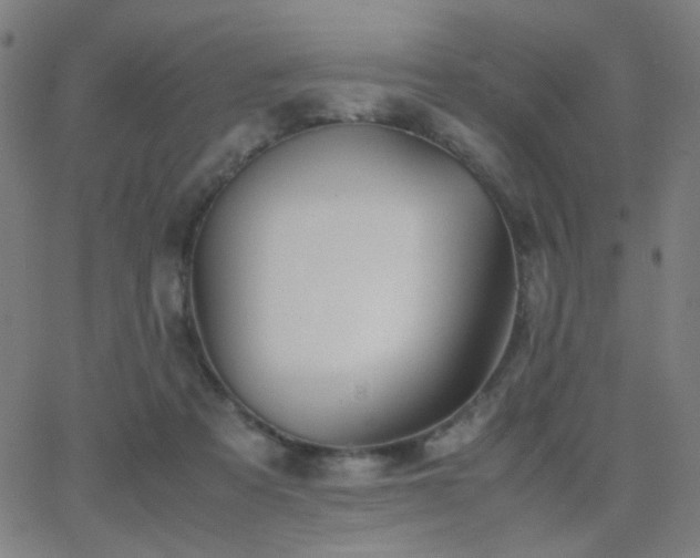 X0000062850313200601131356