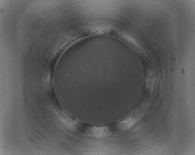 X0000062850314200601131356