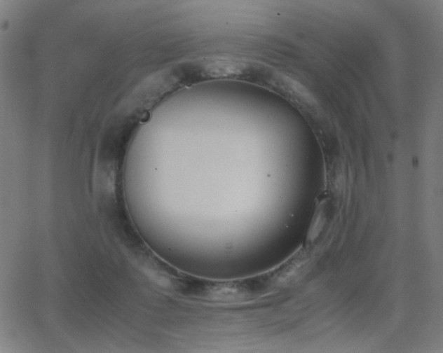 X0000062850315200601131356