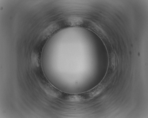 X0000062850316200601131356