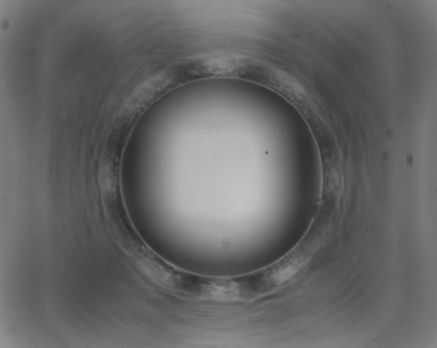 X0000062850317200601131356