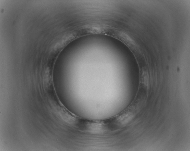 X0000062850318200601131356