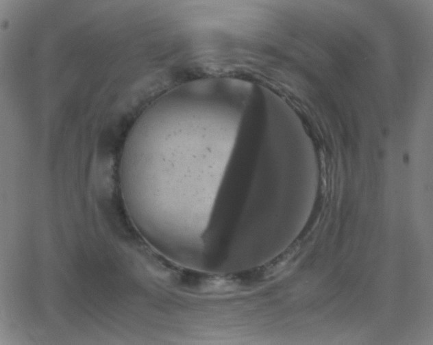 X0000062850319200601131356