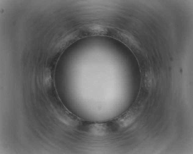 X0000062850320200601131356