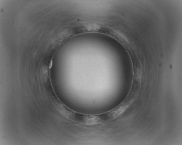 X0000062850321200601131356