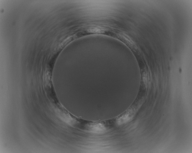 X0000062850322200601131356