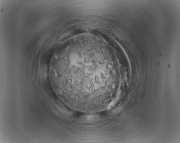 X0000062850323200601131356