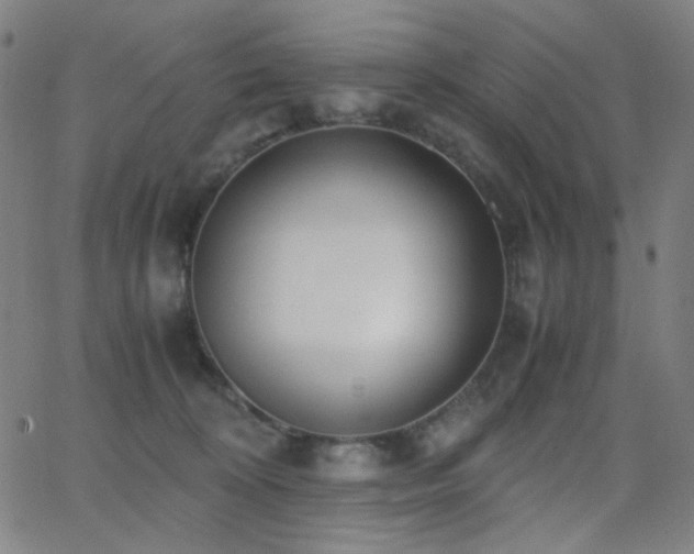 X0000062850324200601131356