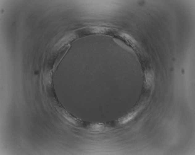 X0000062850325200601131356