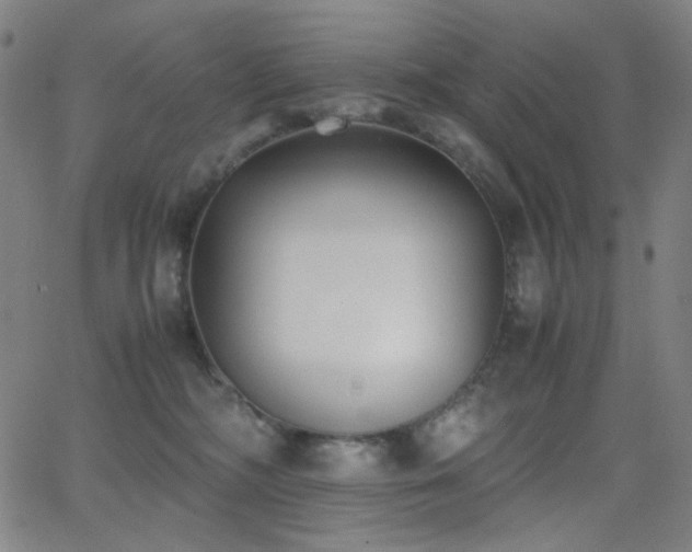 X0000062850326200601131356