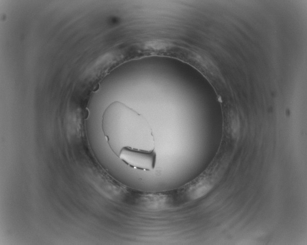 X0000062850328200601131356