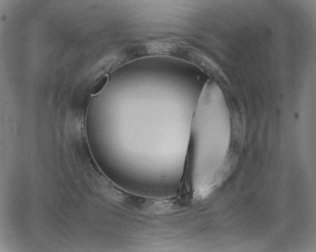 X0000062850329200601131356