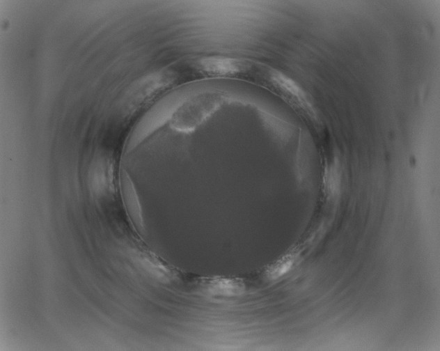 X0000062850330200601131356