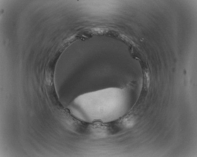 X0000062850331200601131356