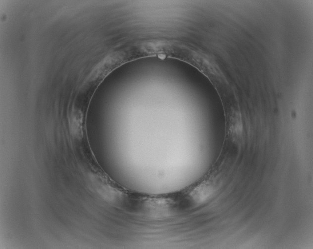 X0000062850332200601131356