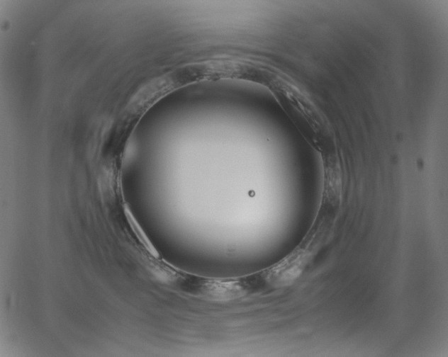 X0000062850333200601131356