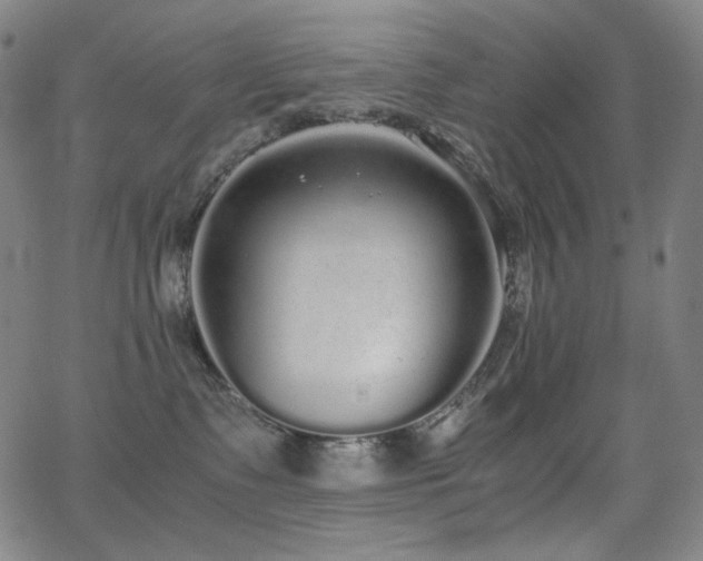 X0000062850335200601131356