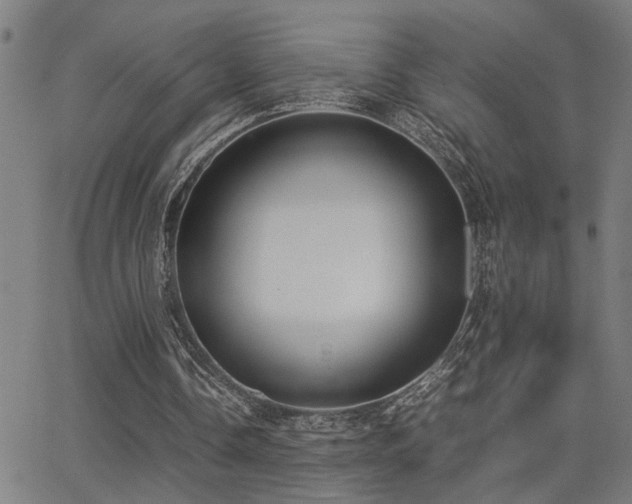 X0000062850338200601131355