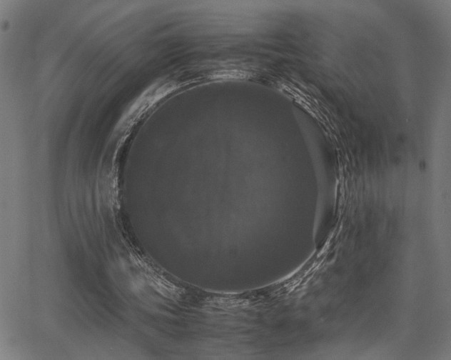 X0000062850339200601131355