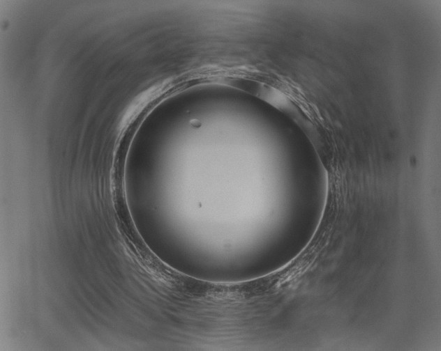 X0000062850340200601131355