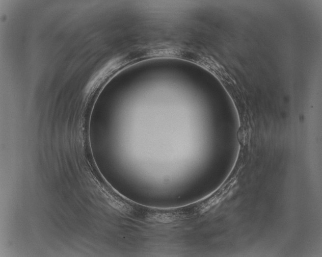 X0000062850341200601131355