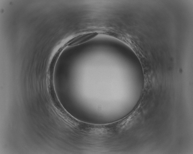 X0000062850342200601131355