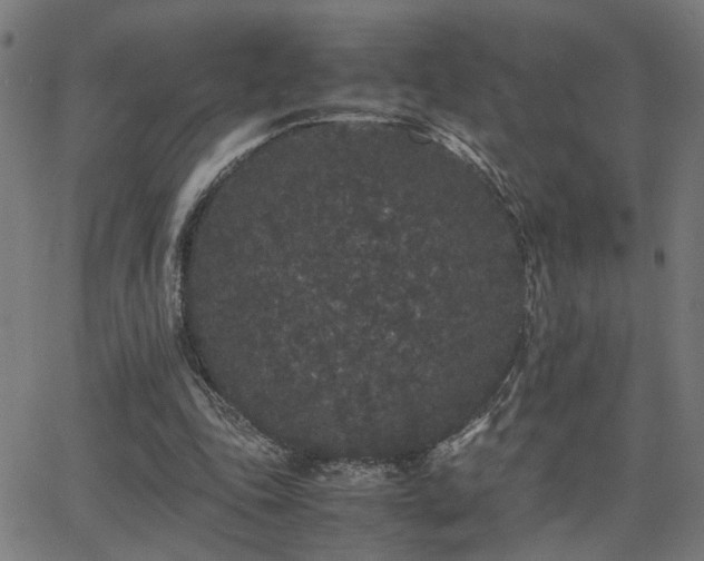 X0000062850343200601131355