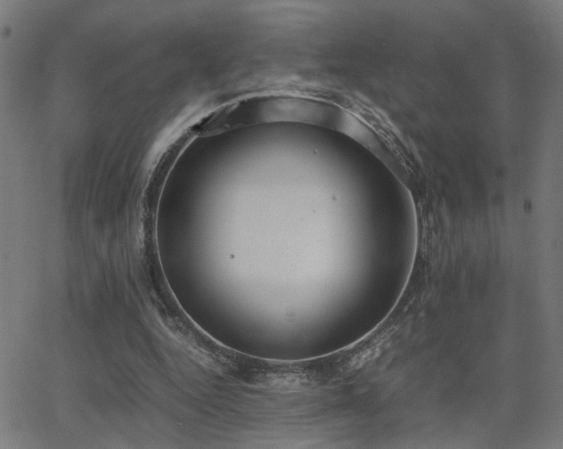 X0000062850344200601131355