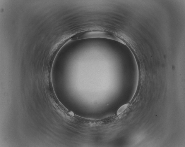 X0000062850345200601131355