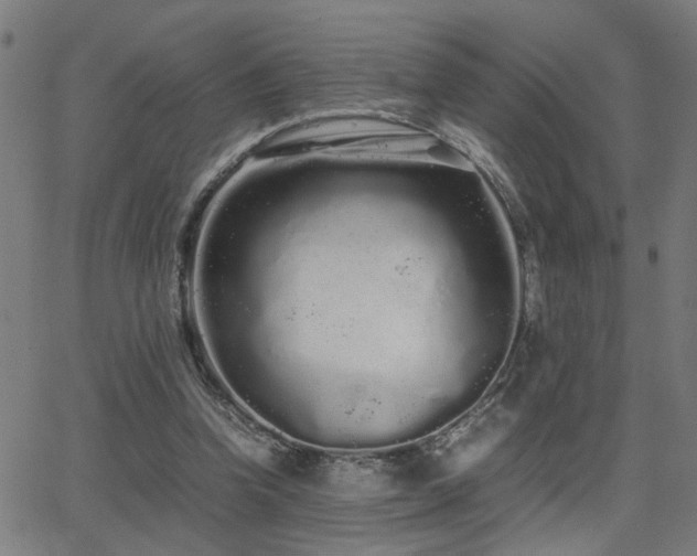 X0000062850346200601131355