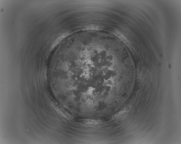 X0000062850347200601131355