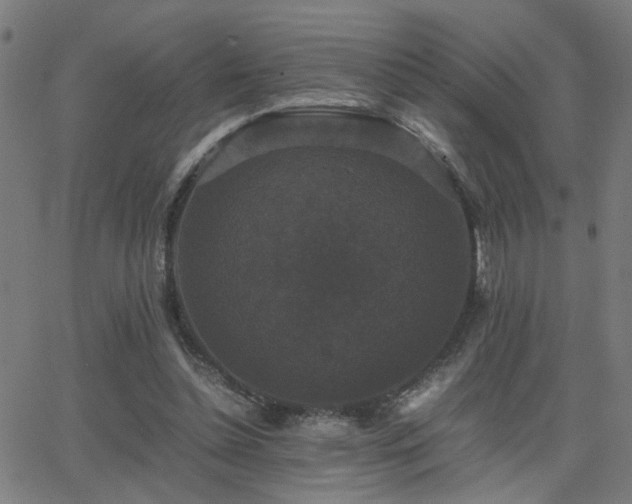 X0000062850348200601131355