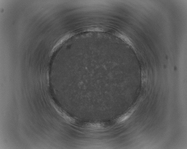 X0000062850349200601131355