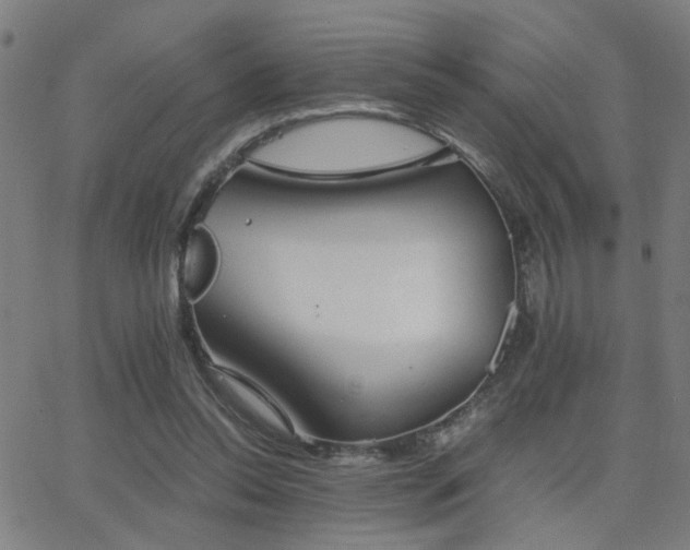 X0000062850350200601131355