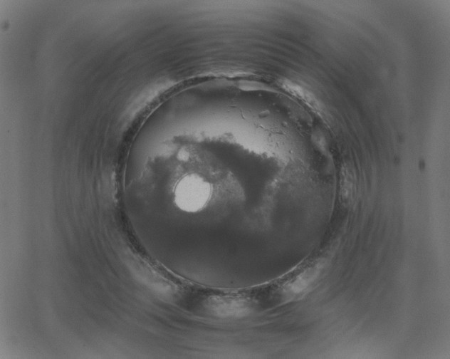 X0000062850351200601131355