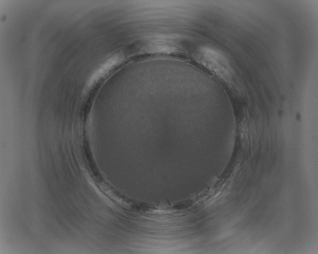 X0000062850352200601131355