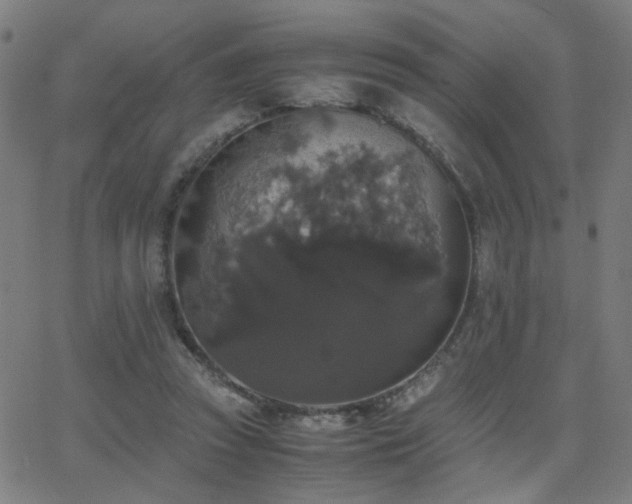 X0000062850353200601131355