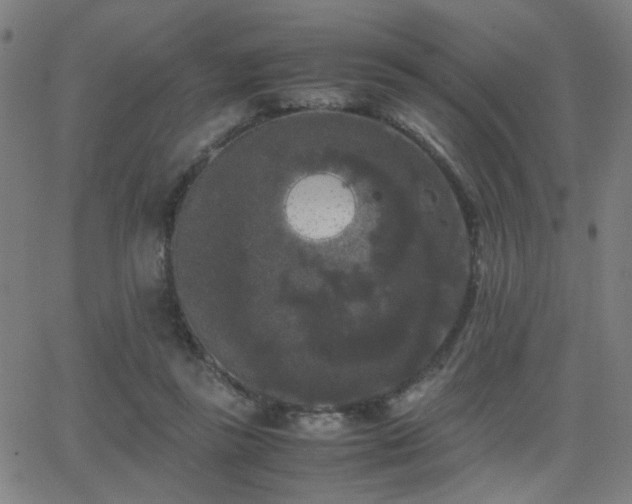 X0000062850355200601131356